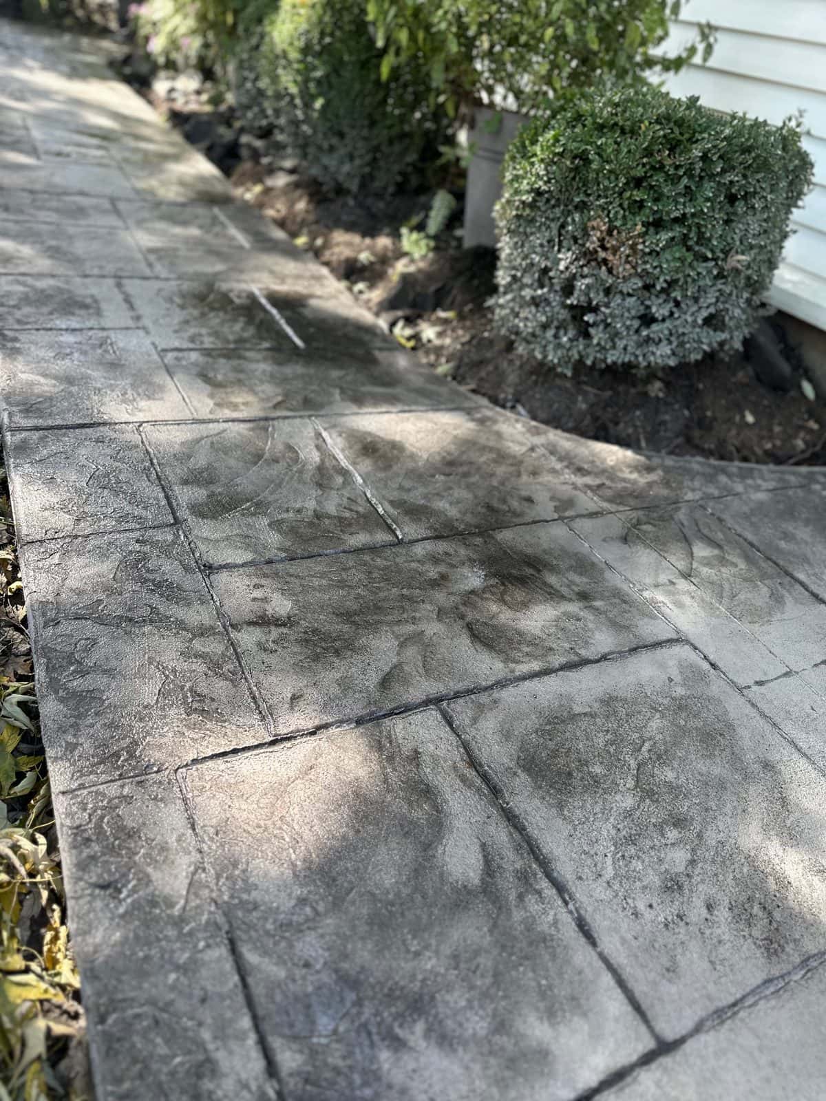Close-up of the stone texture on a curved stamped concrete walkway